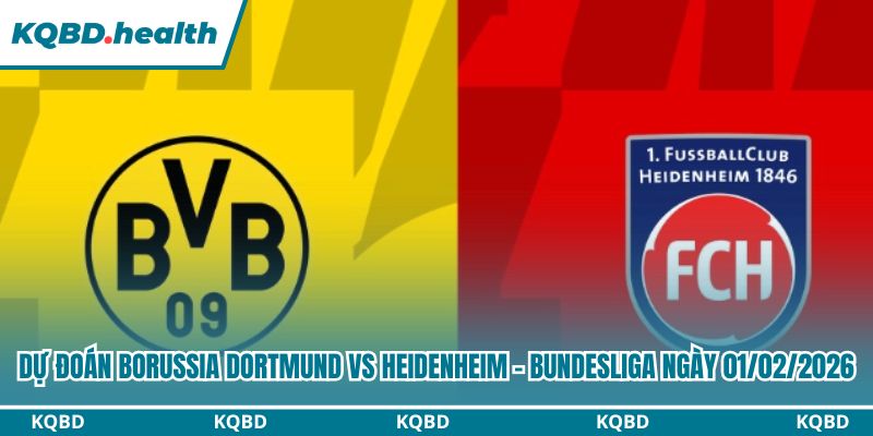 Dự Đoán Borussia Dortmund Vs Heidenheim – Bundesliga Ngày 01/02/2026 3 Dự đoán Borussia Dortmund vs Heidenheim