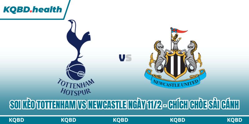 Dự đoán Tottenham Vs Newcastle Ngày 11/2 - Chích Chòe Sải Cánh 2 Soi kèo Tottenham vs Newcastle