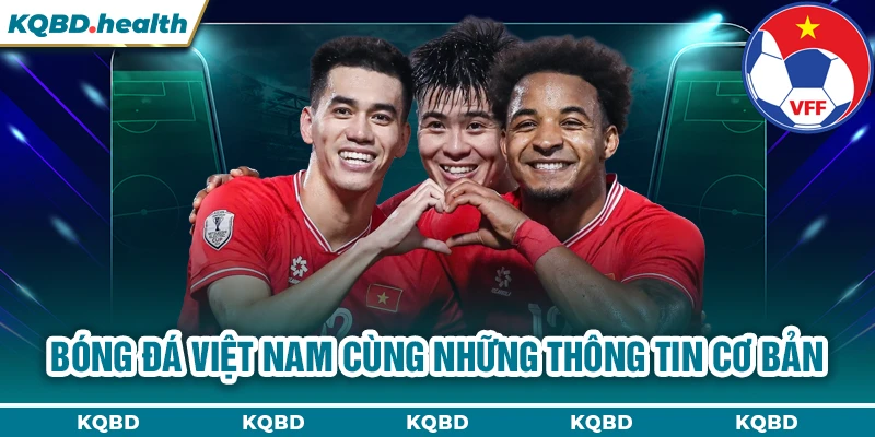Bóng đá Việt Nam cùng những thông tin cơ bản