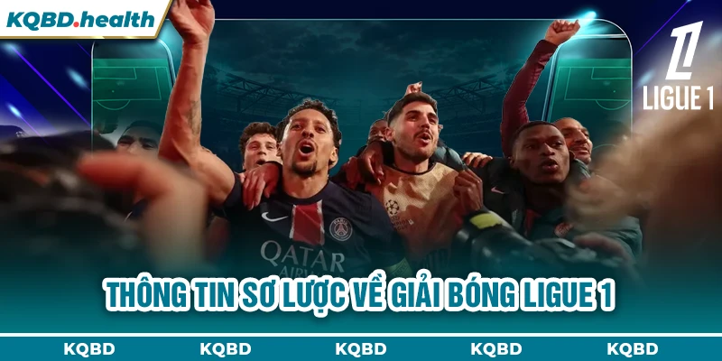 Thông tin sơ lược về giải bóng Ligue 1