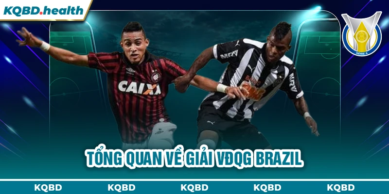 Tổng quan về giải VĐQG Brazil