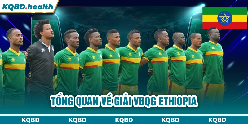 VĐQG Ethiopia 13 Tổng quan về giải VĐQG Ethiopia
