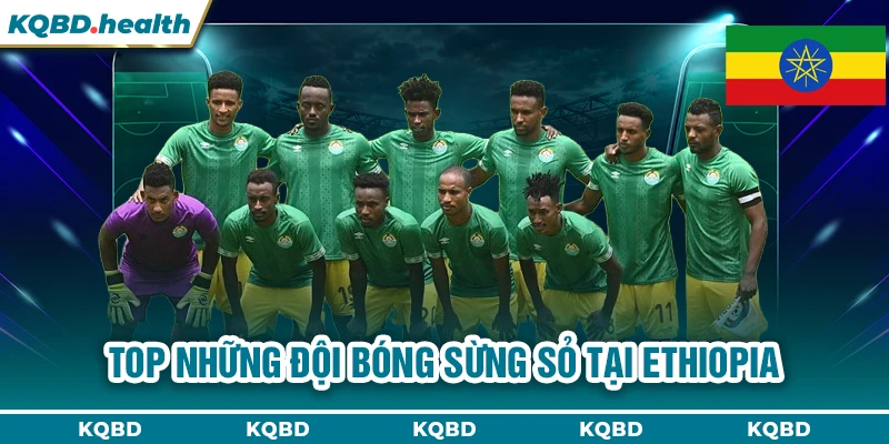 VĐQG Ethiopia 14 Top những đội bóng sừng sỏ tại Ethiopia